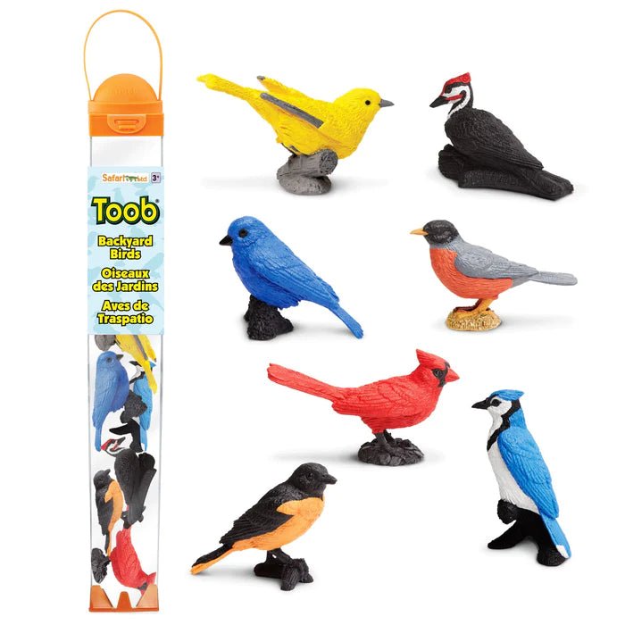 Backyard Birds Toob by Safari Ltd - Timeless Toys
