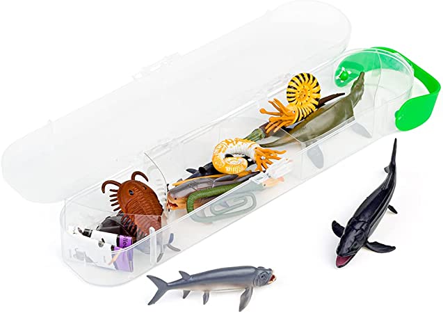 CollectA Mini Prehistoric Marine Animals Tube - Timeless Toys