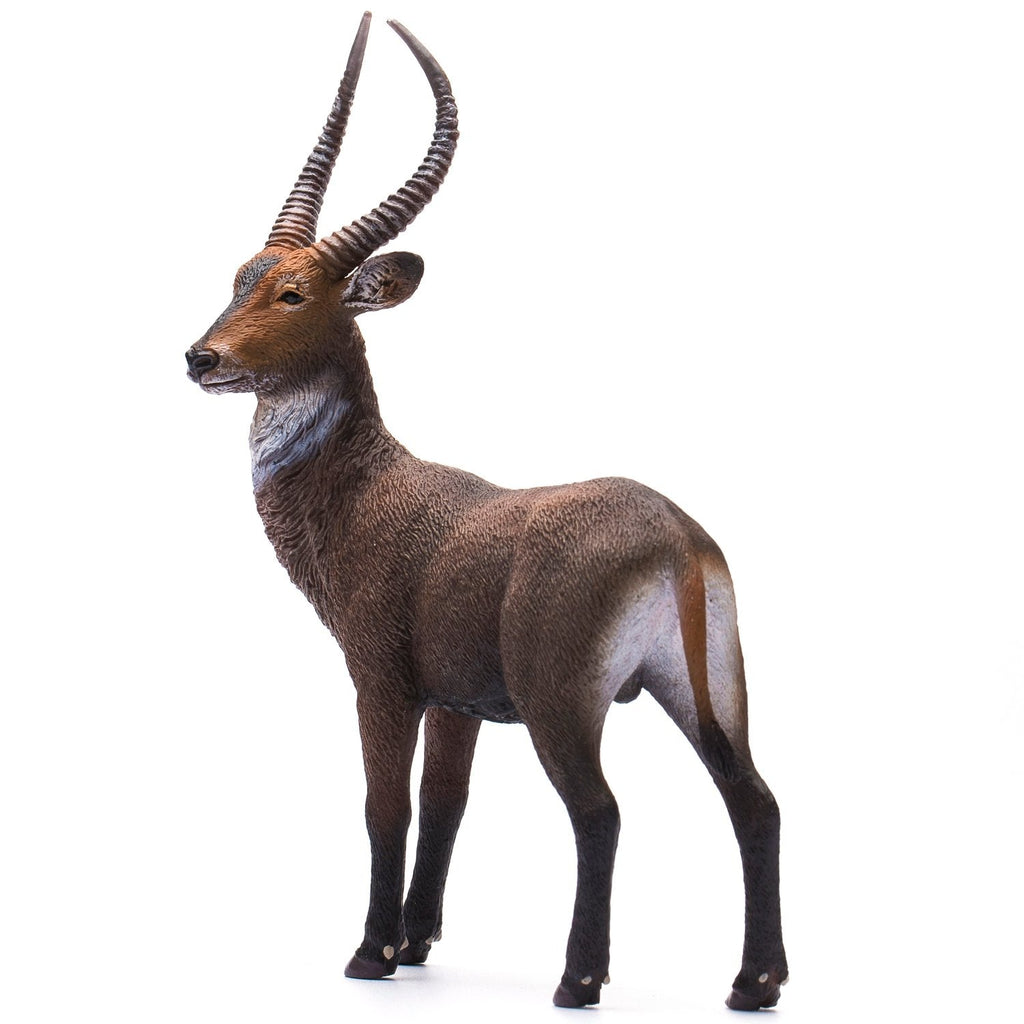 CollectA Waterbuck - Timeless Toys