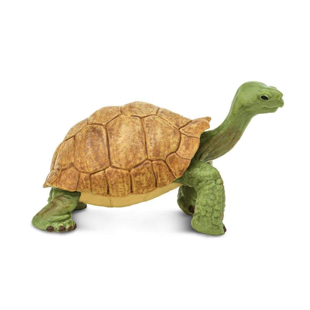 Giant Tortoise by Safari Ltd - Timeless Toys
