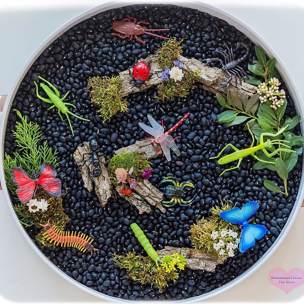 Insects Toob - Timeless Toys