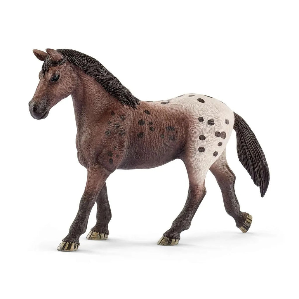 Schleich Horse Club - Appaloosa mare - Timeless Toys