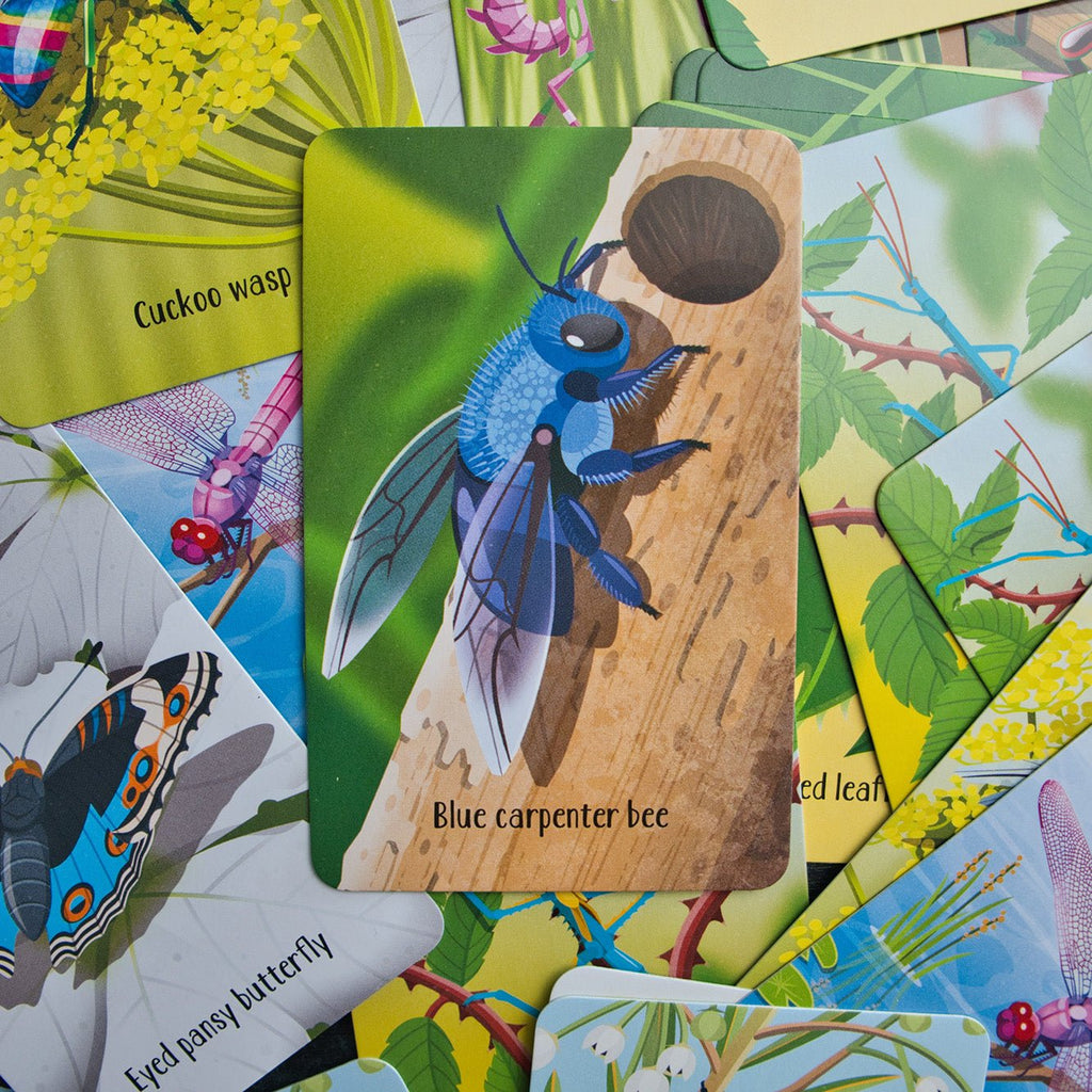 Usborne - Bugs Snap Cards - Timeless Toys