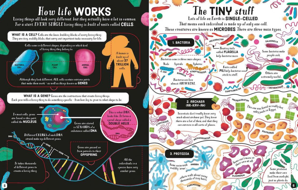 Usborne Lift the Flap Book - Biology - Timeless Toys