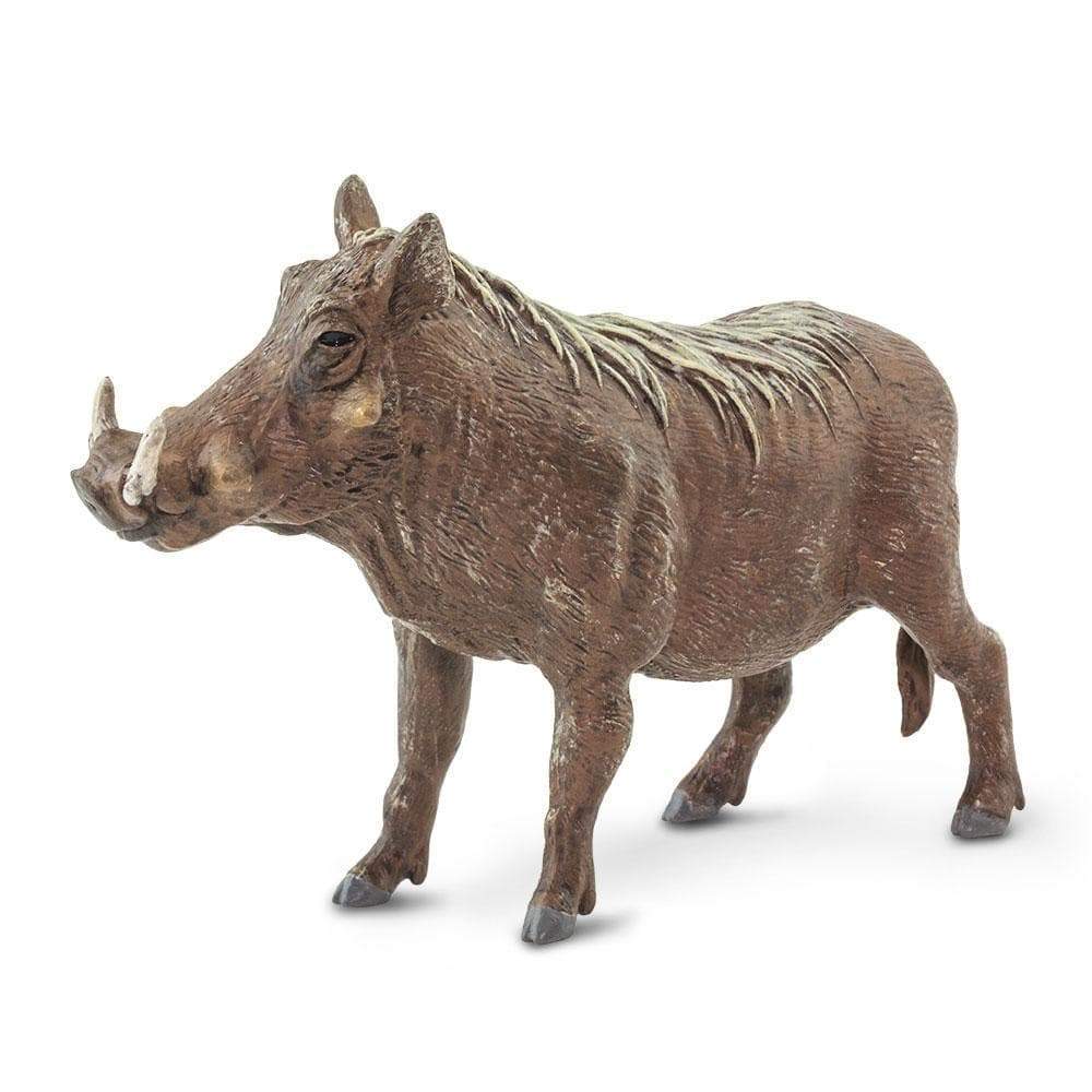 Warthog by Safari Ltd - Timeless Toys