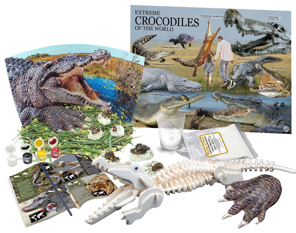 Wild Environmental Science - Extreme Crocodiles of the World Science Kit - Timeless Toys