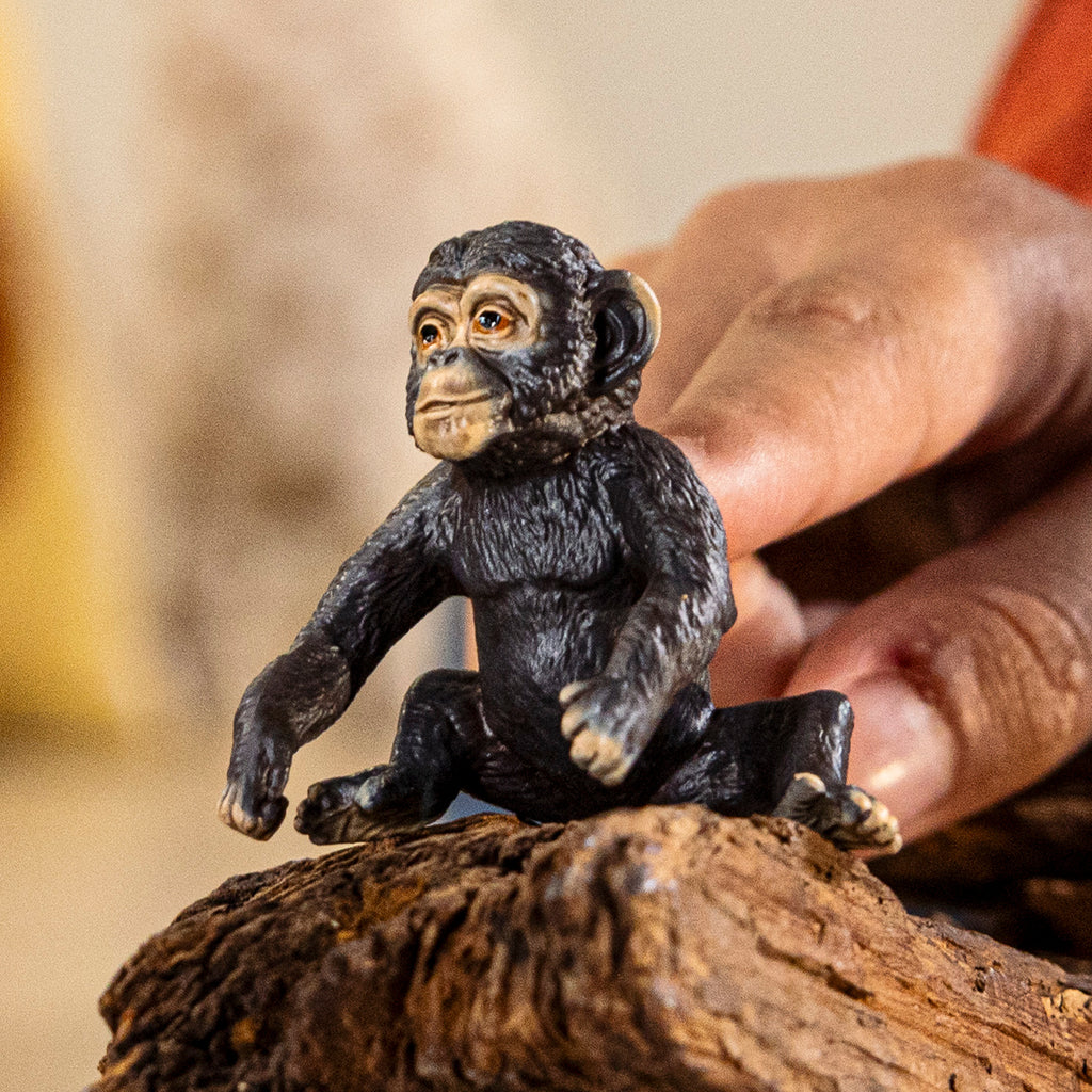Schleich Wildlife - Baby Chimpanzee