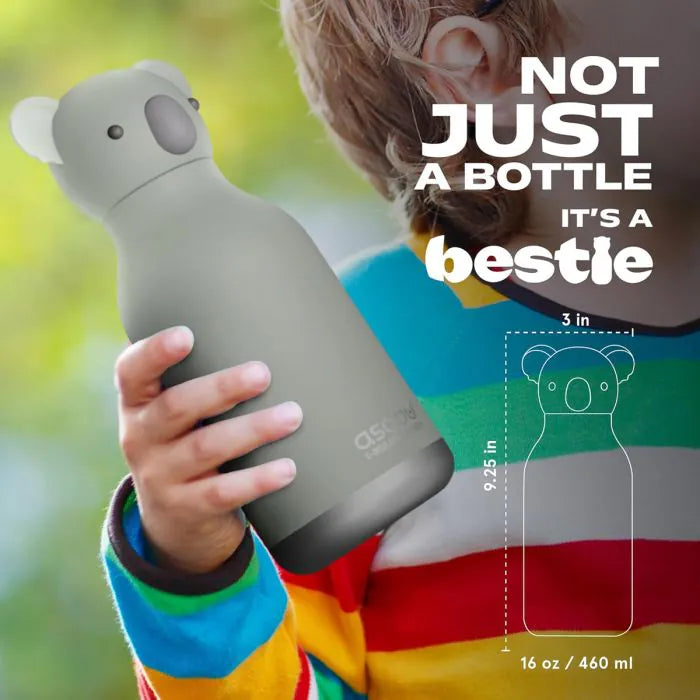 Asobu Besties - Vacuum Sealed 460ml Insulated Water Bottle - Koala