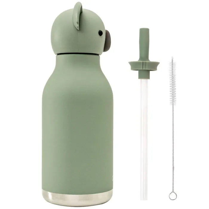 Asobu Besties - Vacuum Sealed 460ml Insulated Water Bottle - Koala