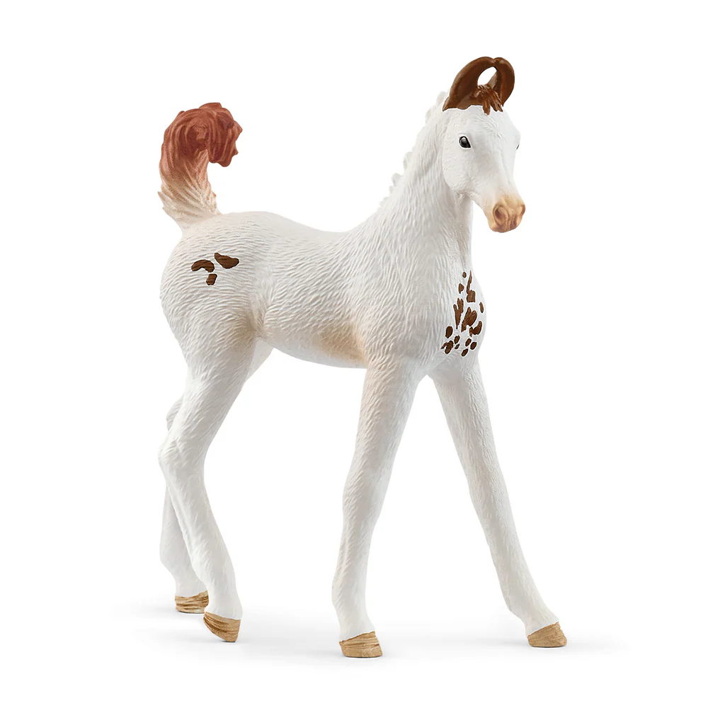 Schleich Horse Club - Marwari Foal