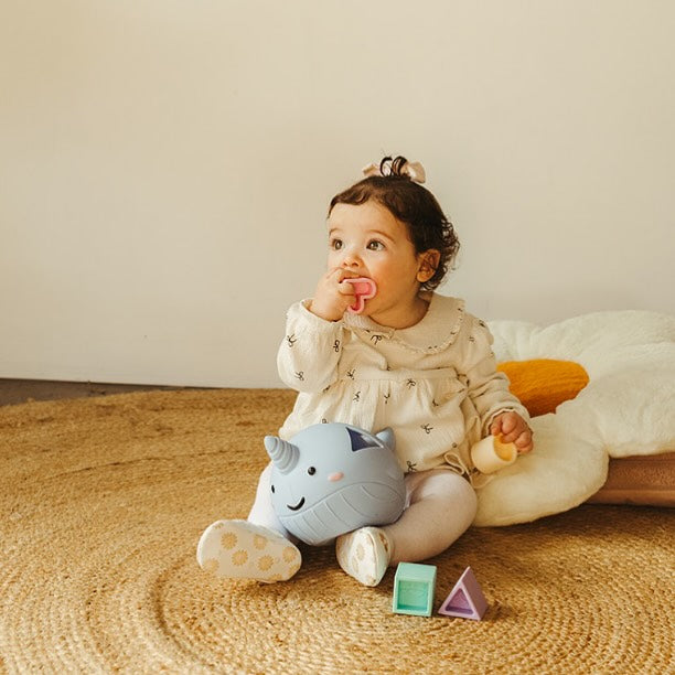 Jellystone Designs: Narwhal Silicone Shape Sorter - Pastel - (5 shapes) - 10 months+