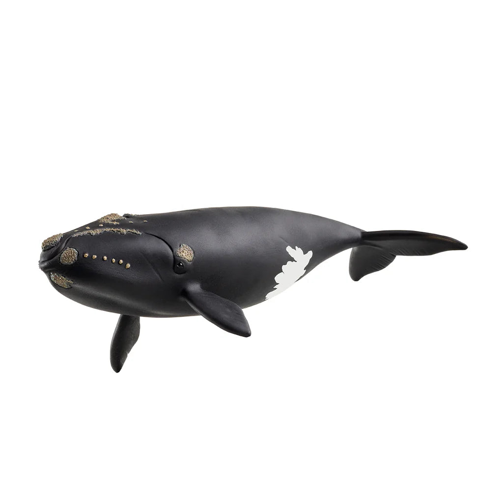 Schleich Wildlife - North Atlantic Right Whale (19.5cm long)