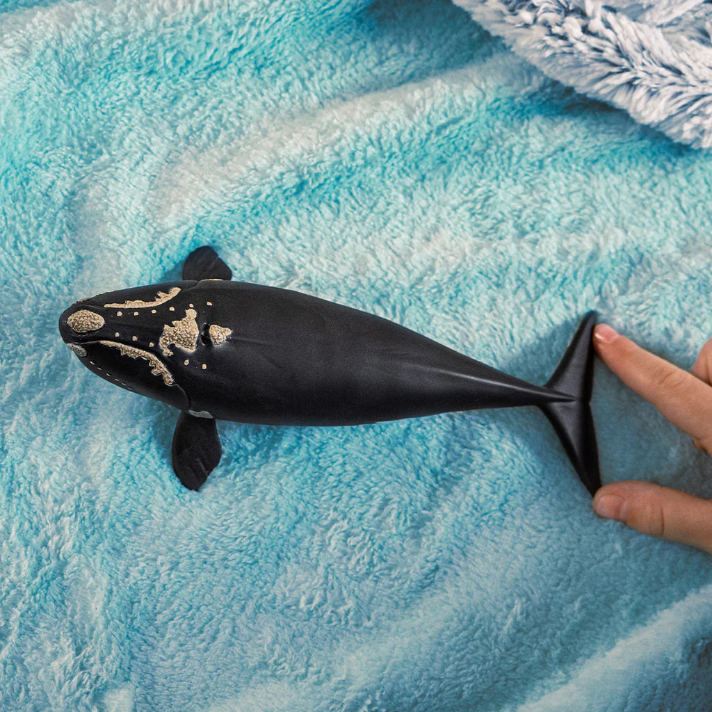 Schleich Wildlife - North Atlantic Right Whale (19.5cm long)