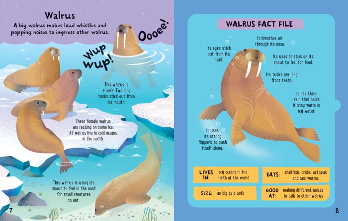 Usborne: Slot Together Sea Creatures Book - 4yrs+