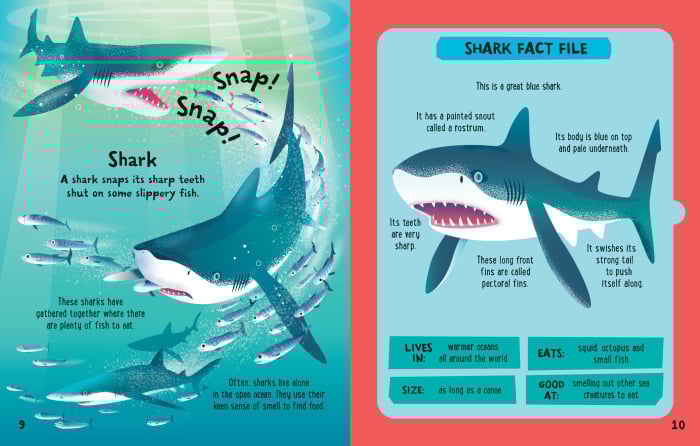 Usborne: Slot Together Sea Creatures Book - 4yrs+