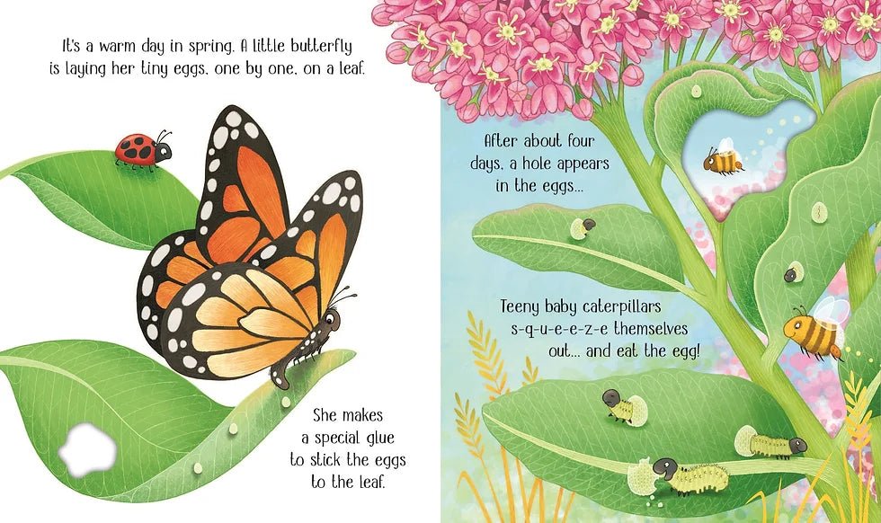 Usborne Life Cycles: One Little Butterfly - 2yrs+ - Timeless Toys