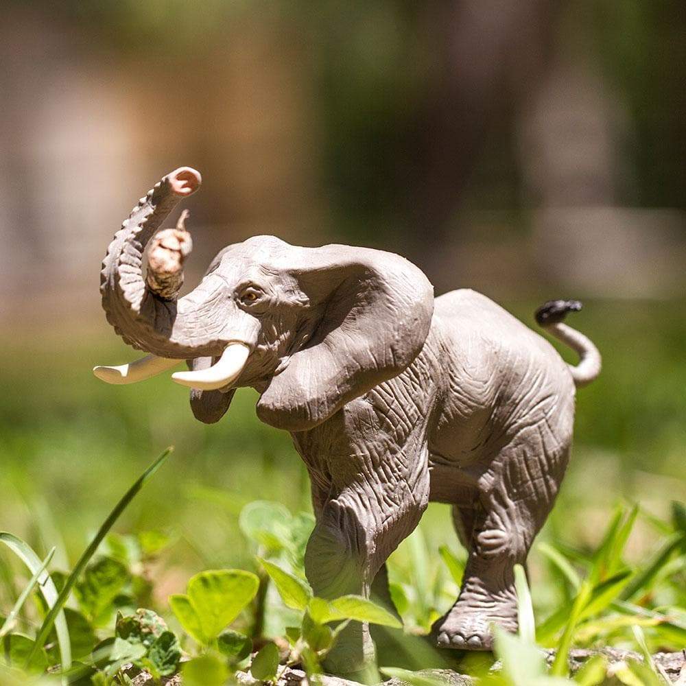 African Elephant - Safari Ltd - Timeless Toys