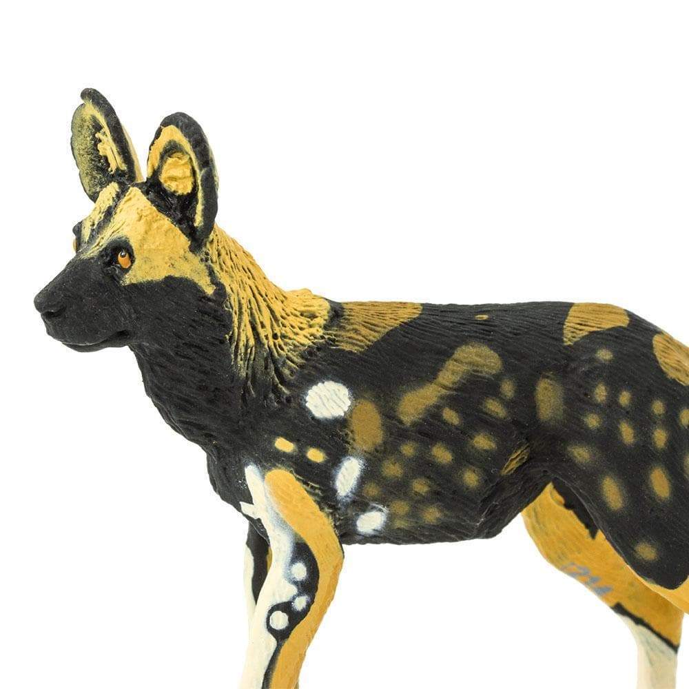 African Wild Dog - Safari Ltd - Timeless Toys