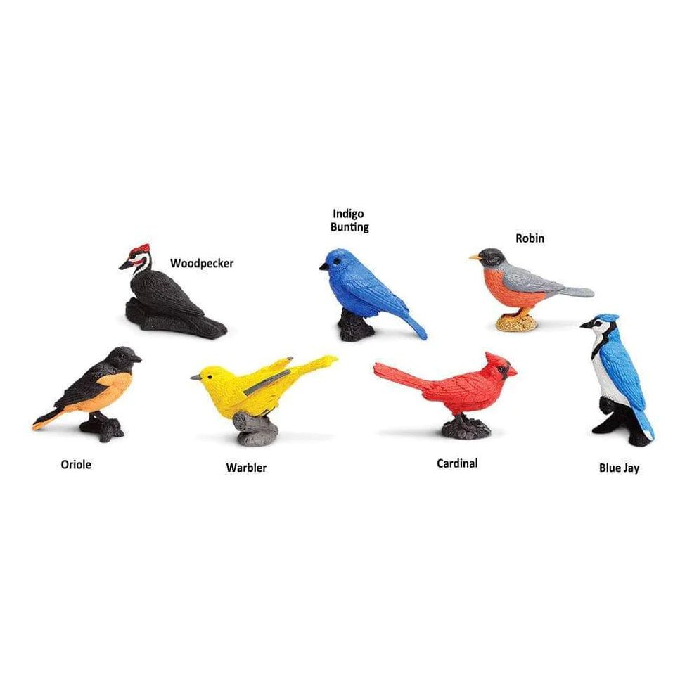 Backyard Birds Toob by Safari Ltd - Timeless Toys
