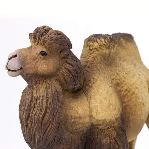 Bactrian Camel by Safari Ltd - Timeless Toys