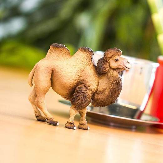 Bactrian Camel by Safari Ltd - Timeless Toys