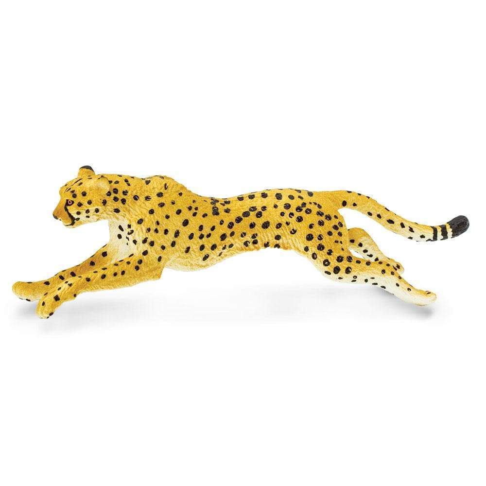 Cheetah - Safari Ltd - Timeless Toys
