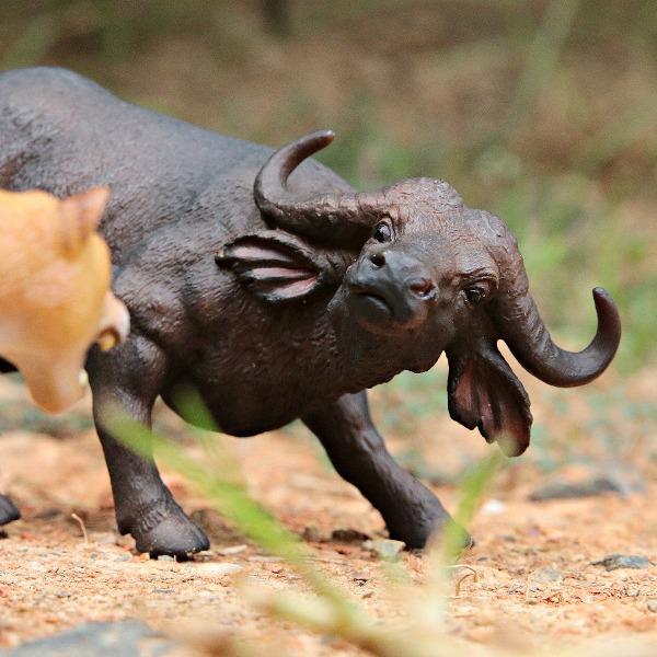 CollectA African Buffalo - Timeless Toys