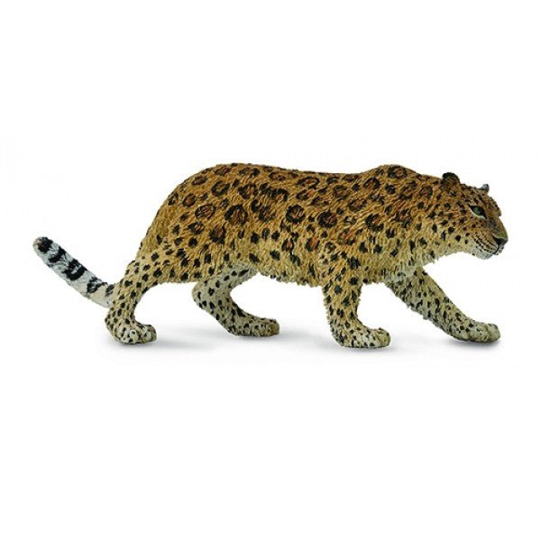 CollectA Amur Leopard - Timeless Toys