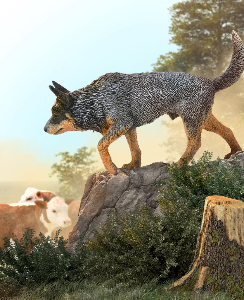 CollectA Australian Cattle Dog - Timeless Toys