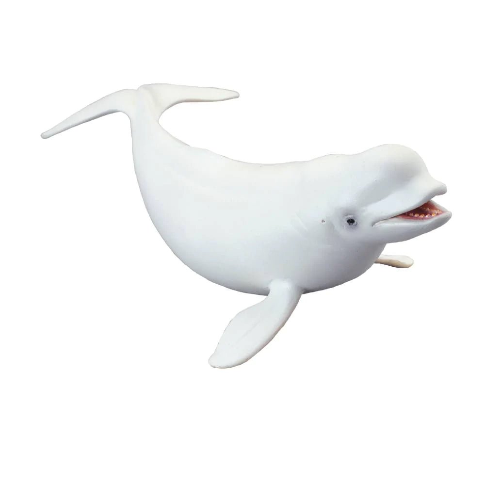 CollectA Beluga Whale - Timeless Toys