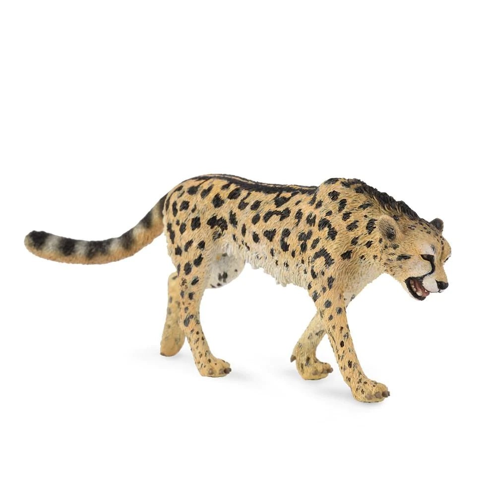 CollectA King Cheetah - Timeless Toys