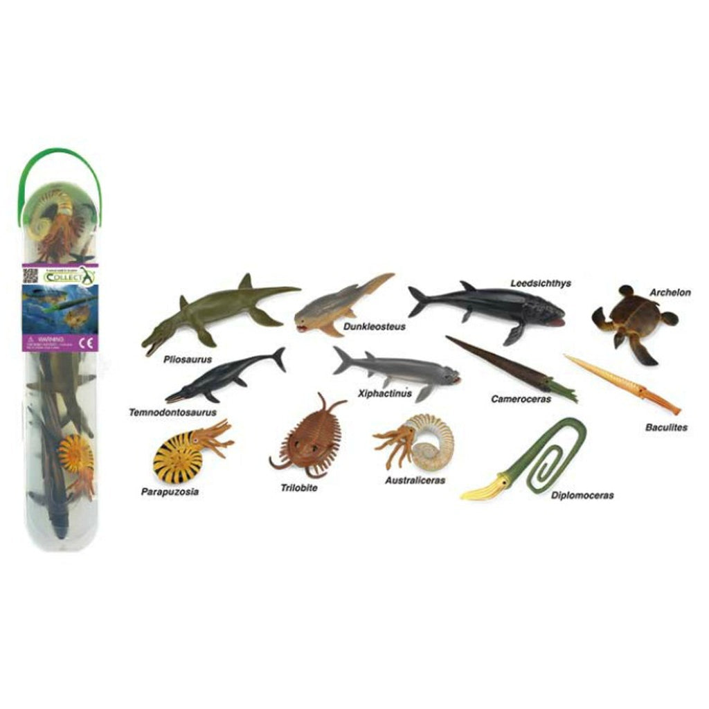 CollectA Mini Prehistoric Marine Animals Tube - Timeless Toys