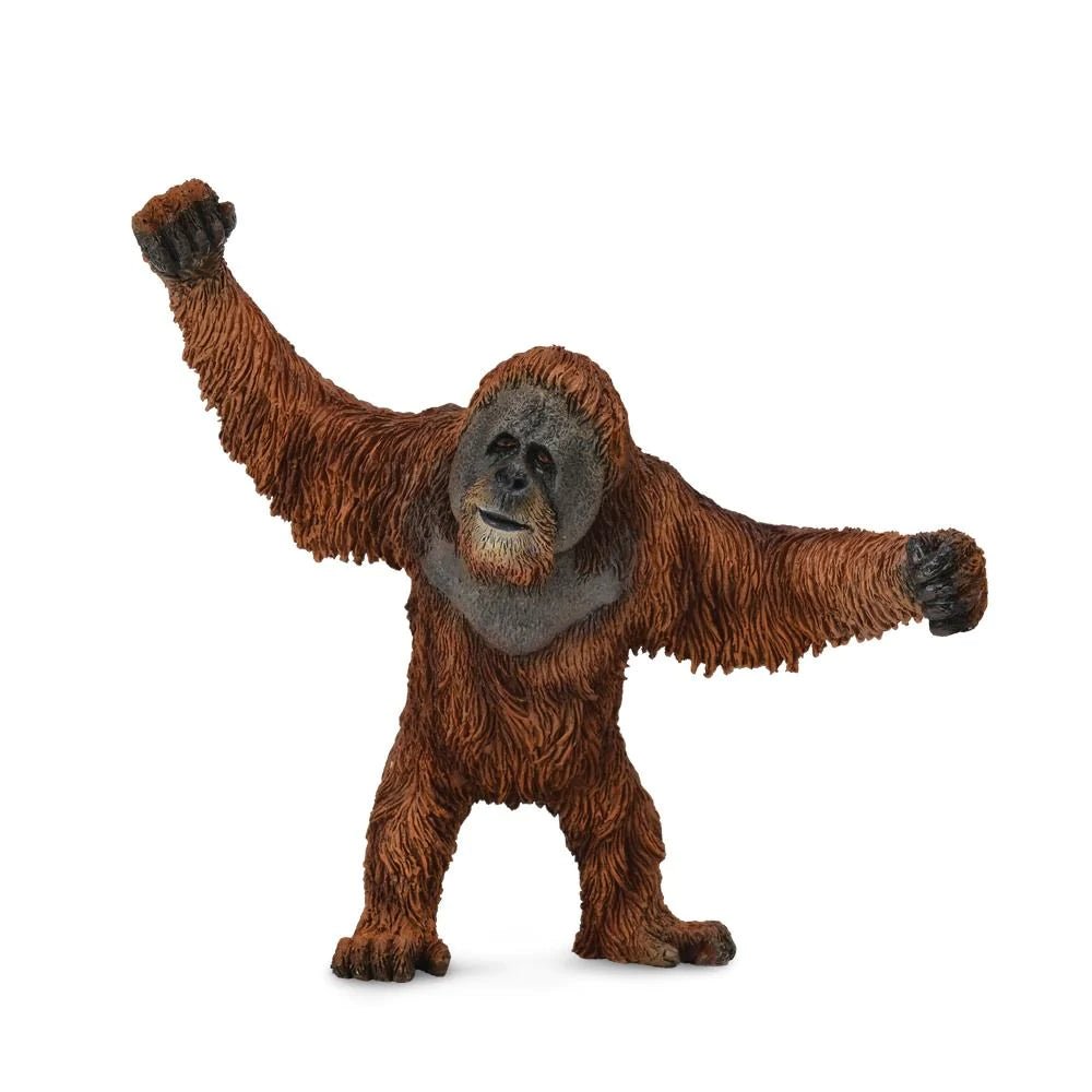 CollectA Orangutan - Timeless Toys