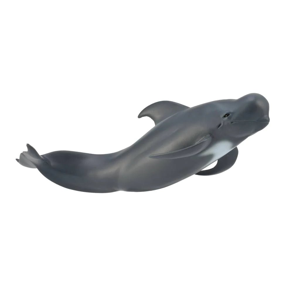CollectA - Pilot Whale - Timeless Toys