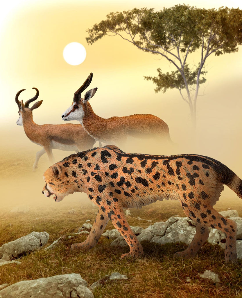 CollectA Springbok – Timeless Toys