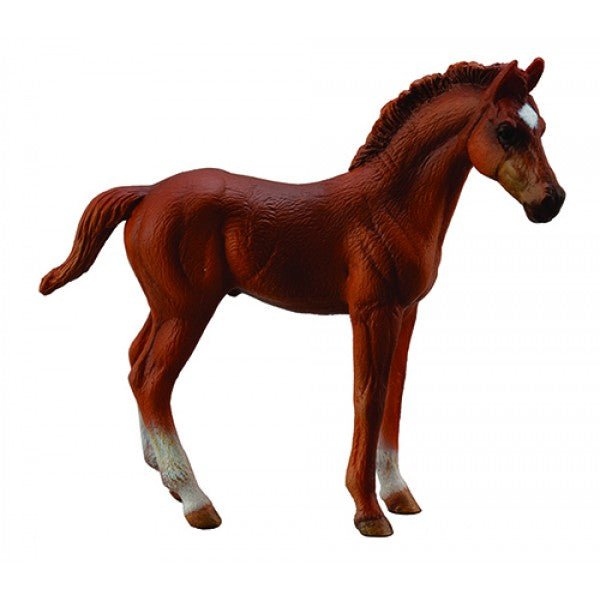 CollectA Thoroughbred Chestnut Foal - Timeless Toys