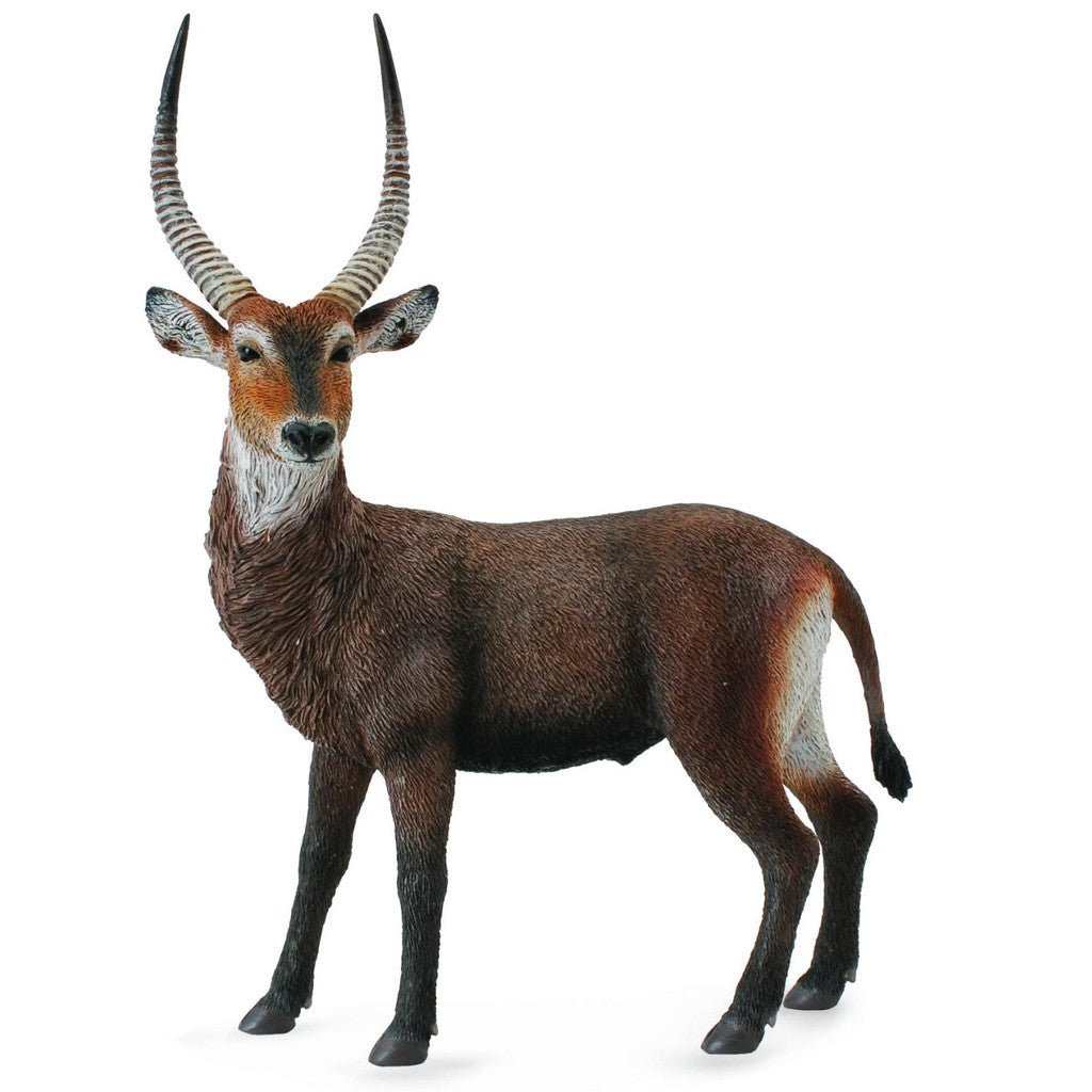 CollectA Waterbuck - Timeless Toys