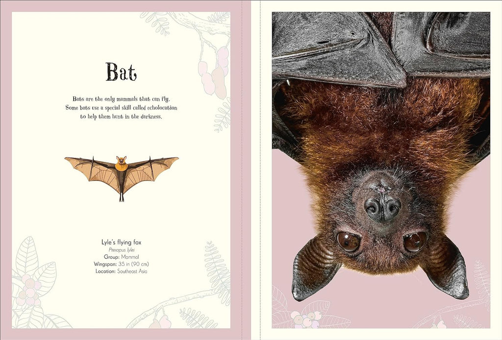 DK Anthology of Intriguing Animals Poster Book (with tear-out pages) - 7yrs+ - Timeless Toys