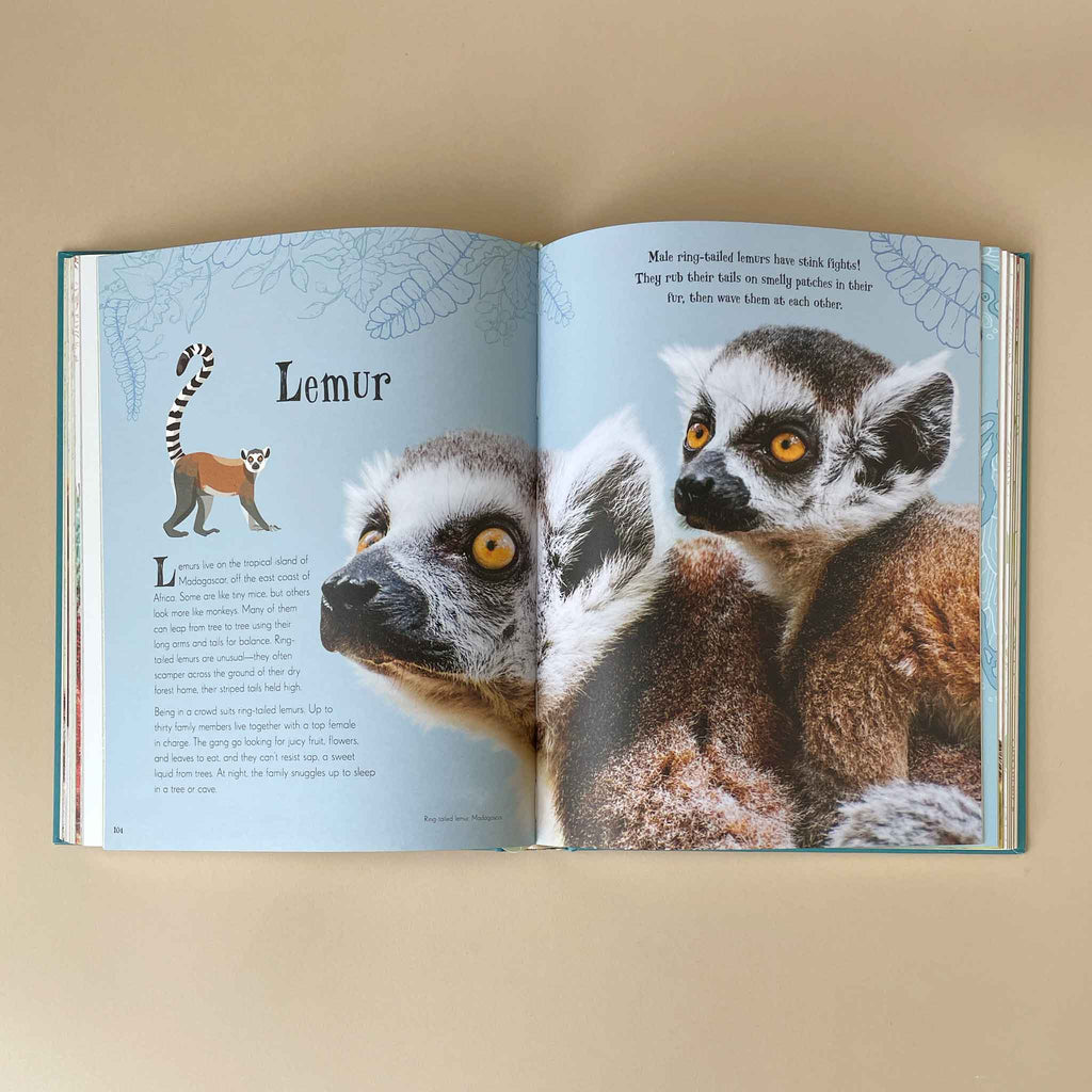 DK Children's Books: An Anthology of Intriguing Animals - Timeless Toys