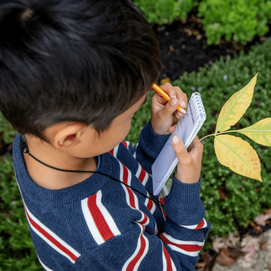 Explorer Microscope Set by Tiger Tribe – Timeless Toys