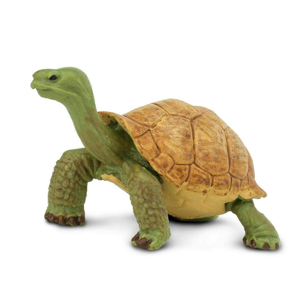 Giant Tortoise by Safari Ltd - Timeless Toys