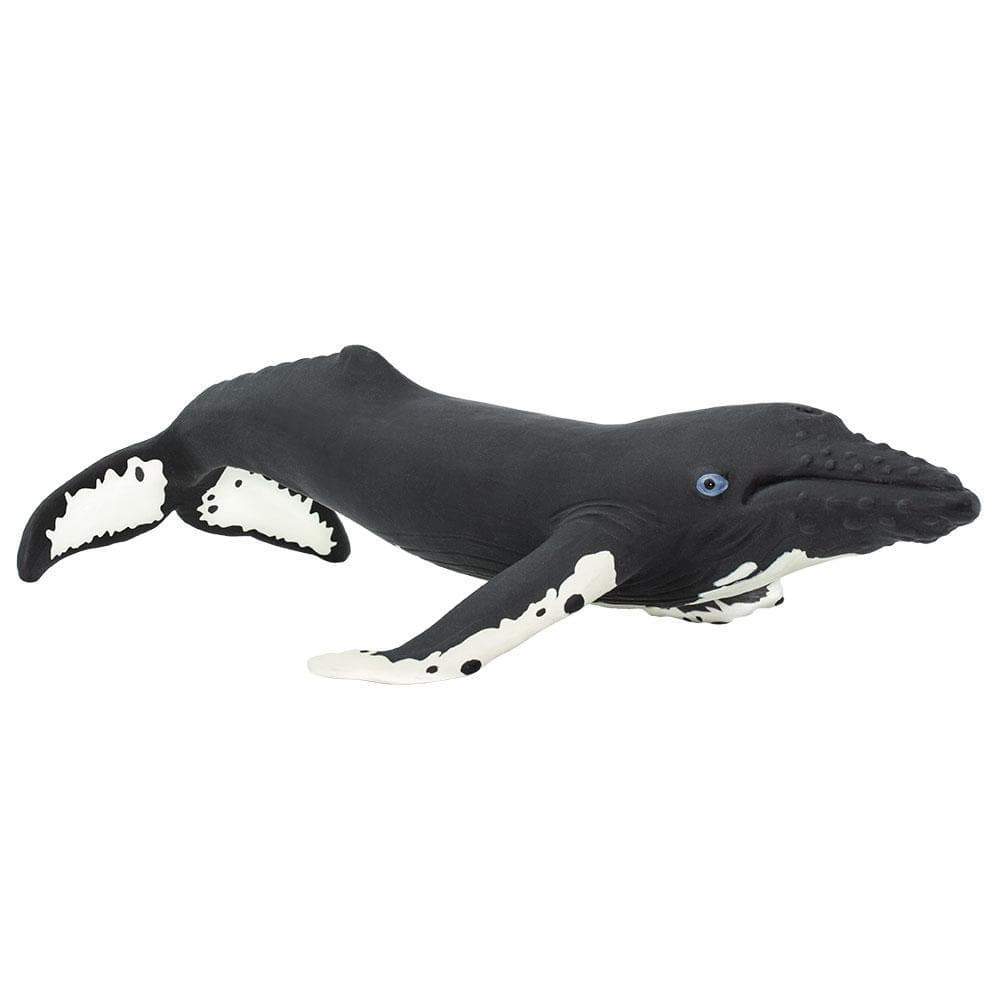 Humpback Whale by Safari Ltd - Timeless Toys