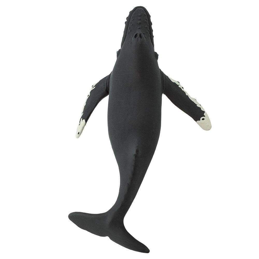 Humpback Whale by Safari Ltd - Timeless Toys