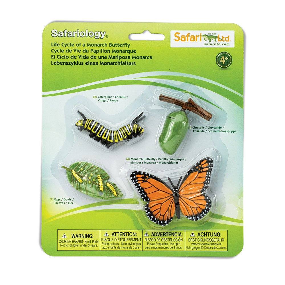Life Cycle of a Monarch Butterfly - Timeless Toys