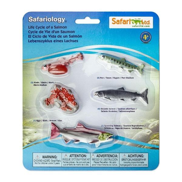 Life Cycle of a Salmon by Safari Ltd - Timeless Toys