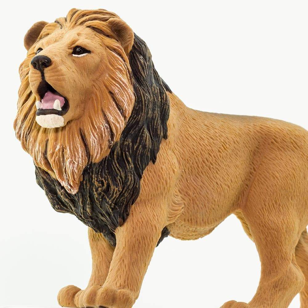 Lion - Safari Ltd - Timeless Toys