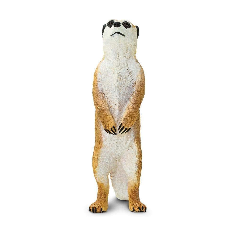 Meerkat by Safari Ltd - Timeless Toys