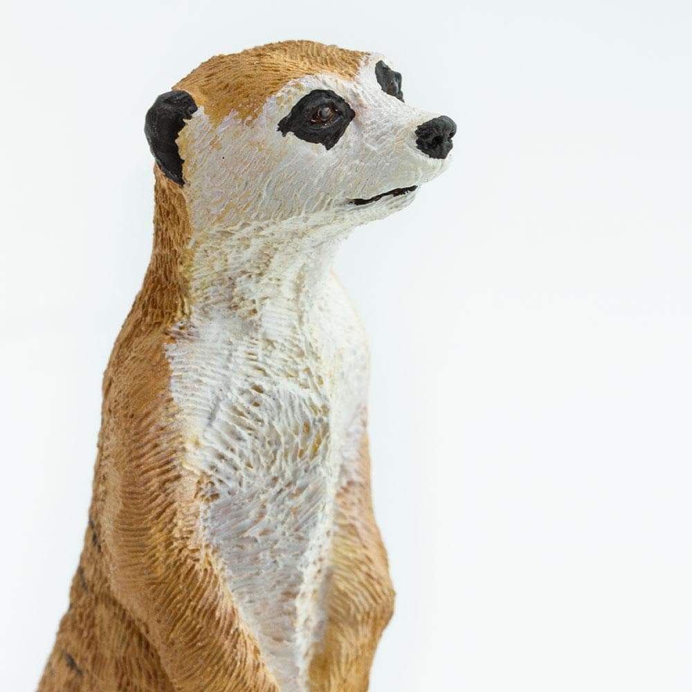 Meerkat by Safari Ltd - Timeless Toys