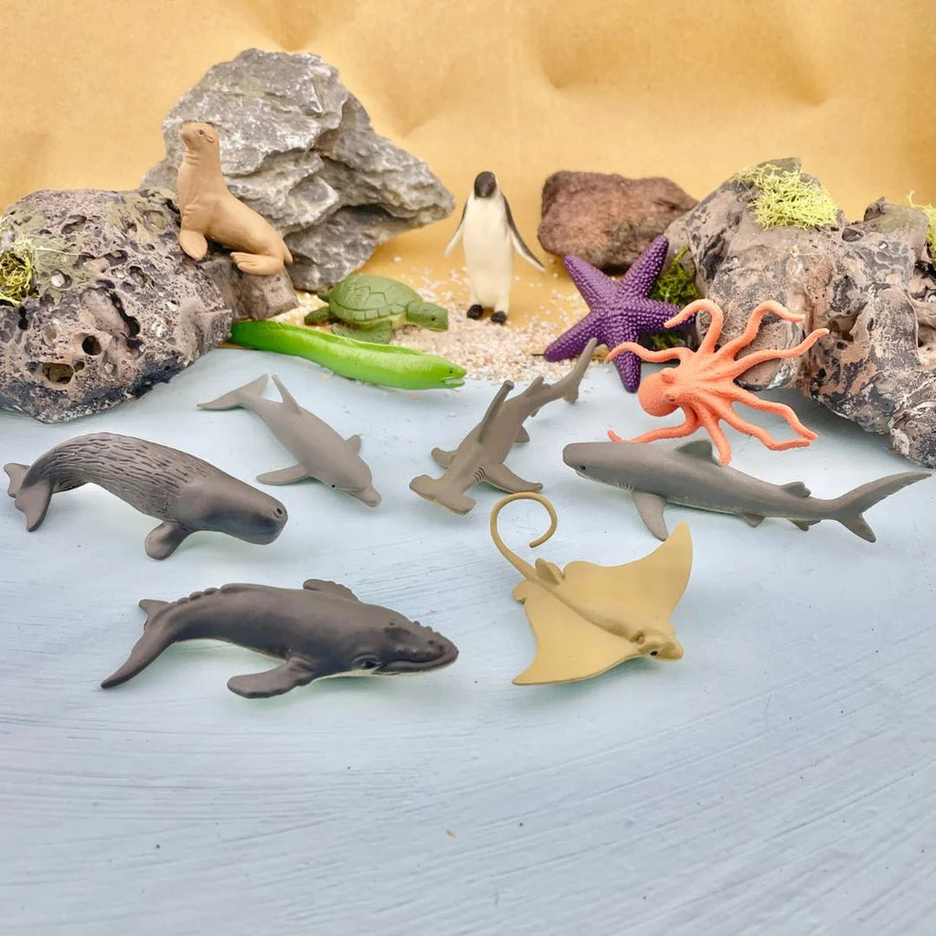 Oceans and Arctic – Timeless Toys