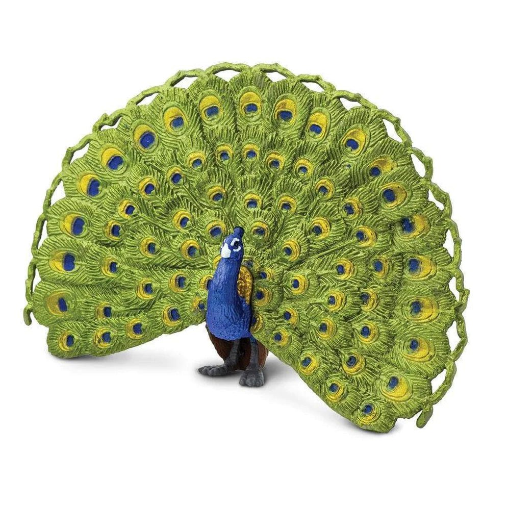 Peacock - Safari Ltd - Timeless Toys